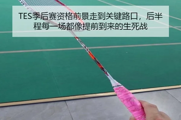 TES季后赛资格前景走到关键路口，后半程每一场都像提前到来的生死战 - kaiyun